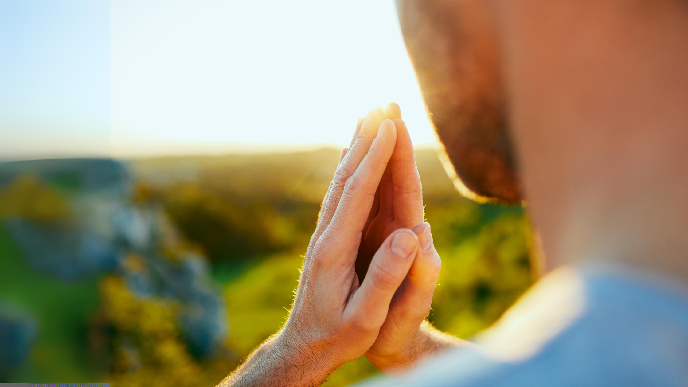 Embracing Gratitude A Catalyst for Positive Change